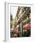 Boulevard St. Michel, Paris, France-Charles Bowman-Framed Photographic Print