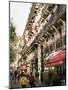 Boulevard St. Michel, Paris, France-Charles Bowman-Mounted Photographic Print