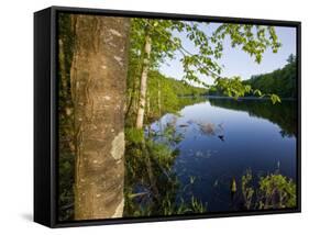 Boulter Pond at Highland Farm, York, Maine-Jerry & Marcy Monkman-Framed Stretched Canvas