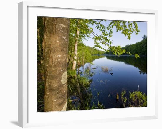 Boulter Pond at Highland Farm, York, Maine-Jerry & Marcy Monkman-Framed Photographic Print