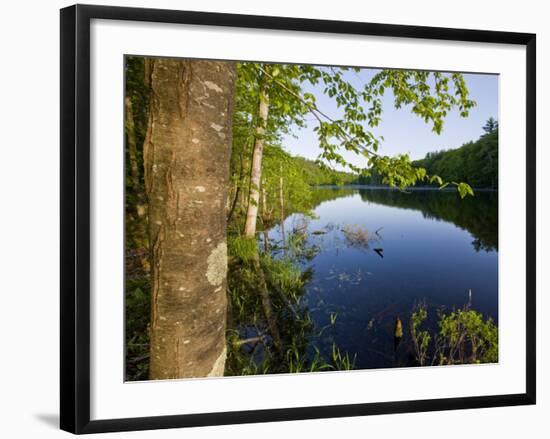 Boulter Pond at Highland Farm, York, Maine-Jerry & Marcy Monkman-Framed Photographic Print