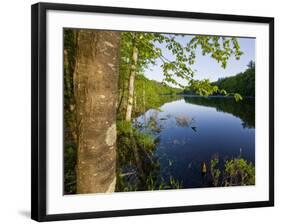 Boulter Pond at Highland Farm, York, Maine-Jerry & Marcy Monkman-Framed Photographic Print