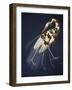 Bound White Heron on blue-Fab Funky-Framed Art Print