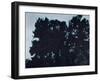 Boundary Passage Tree-Graham Dean-Framed Giclee Print