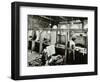 Boundary Street Area Laundry, Bethnal Green, London, 1964-null-Framed Photographic Print