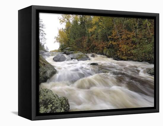 Boundary Waters Canoe Area Wilderness, Superior National Forest, Minnesota, USA-Gary Cook-Framed Stretched Canvas