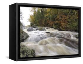 Boundary Waters Canoe Area Wilderness, Superior National Forest, Minnesota, USA-Gary Cook-Framed Stretched Canvas