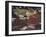 Bountiful Baskets Full of Brightly Colored Fruits and Vegetables at Rue Mouffetard Market-Alfred Eisenstaedt-Framed Photographic Print