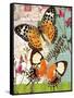 Bountiful Butterfly 1-Walter Robertson-Framed Stretched Canvas