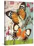 Bountiful Butterfly 1-Walter Robertson-Stretched Canvas