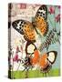 Bountiful Butterfly 1-Walter Robertson-Stretched Canvas