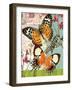 Bountiful Butterfly 1-Walter Robertson-Framed Art Print