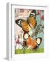 Bountiful Butterfly 1-Walter Robertson-Framed Art Print