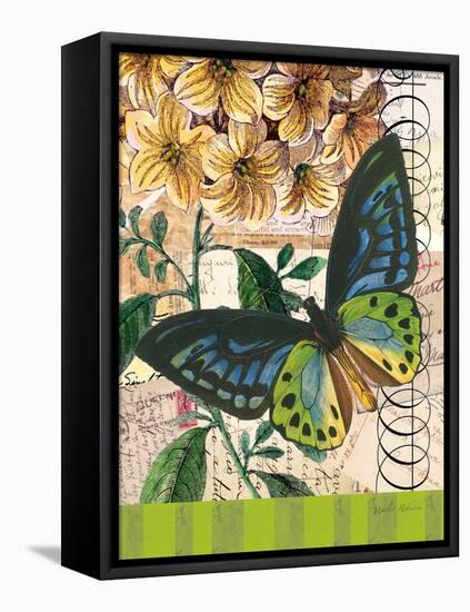 Bountiful Butterfly 2-Walter Robertson-Framed Stretched Canvas