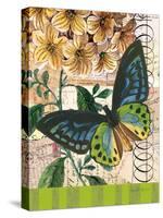 Bountiful Butterfly 2-Walter Robertson-Stretched Canvas