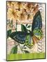 Bountiful Butterfly 2-Walter Robertson-Mounted Art Print