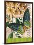 Bountiful Butterfly 2-Walter Robertson-Framed Art Print