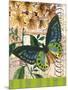 Bountiful Butterfly 2-Walter Robertson-Mounted Art Print