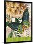 Bountiful Butterfly 2-Walter Robertson-Framed Art Print