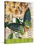 Bountiful Butterfly 2-Walter Robertson-Stretched Canvas