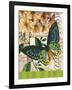 Bountiful Butterfly 2-Walter Robertson-Framed Art Print