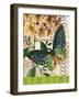 Bountiful Butterfly 2-Walter Robertson-Framed Art Print