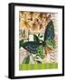 Bountiful Butterfly 2-Walter Robertson-Framed Art Print