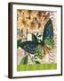 Bountiful Butterfly 2-Walter Robertson-Framed Art Print