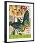 Bountiful Butterfly 2-Walter Robertson-Framed Art Print