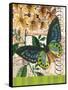 Bountiful Butterfly 2-Walter Robertson-Framed Stretched Canvas