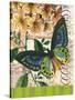 Bountiful Butterfly 2-Walter Robertson-Stretched Canvas