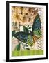 Bountiful Butterfly 2-Walter Robertson-Framed Art Print