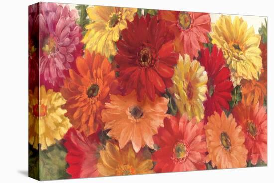 Bountiful Gerberas-Carol Rowan-Stretched Canvas