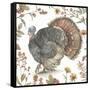 Bountiful Harvest I-Leslie Trimbach-Framed Stretched Canvas