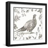 Bountiful Harvest II Sketch-Leslie Trimbach-Framed Art Print