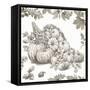 Bountiful Harvest III Sketch-Leslie Trimbach-Framed Stretched Canvas