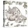 Bountiful Harvest III Sketch-Leslie Trimbach-Stretched Canvas