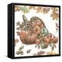 Bountiful Harvest III-Leslie Trimbach-Framed Stretched Canvas