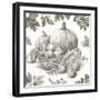 Bountiful Harvest IV Sketch-Leslie Trimbach-Framed Art Print