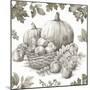 Bountiful Harvest IV Sketch-Leslie Trimbach-Mounted Art Print