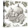 Bountiful Harvest IV Sketch-Leslie Trimbach-Stretched Canvas