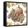Bountiful Harvest IV-Leslie Trimbach-Framed Stretched Canvas