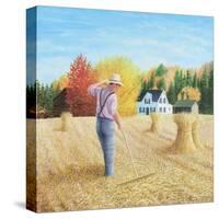 Bountiful Harvest-Kevin Dodds-Stretched Canvas