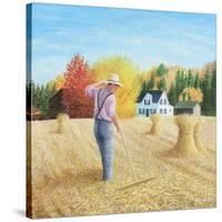 Bountiful Harvest-Kevin Dodds-Stretched Canvas