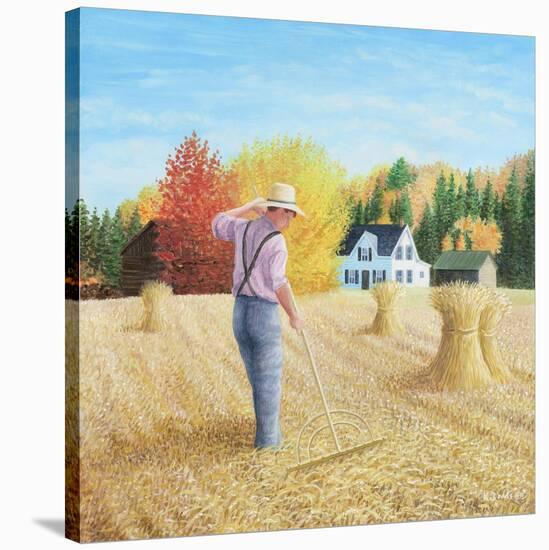 Bountiful Harvest-Kevin Dodds-Stretched Canvas