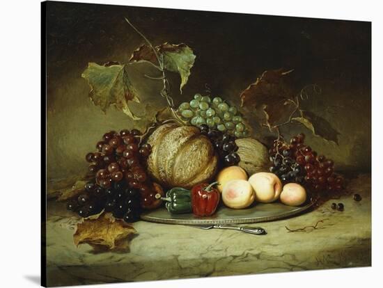 Bountiful Still Life-Hugh Newell-Stretched Canvas