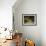 Bountiful Still Life-Hugh Newell-Framed Giclee Print displayed on a wall
