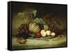 Bountiful Still Life-Hugh Newell-Framed Stretched Canvas