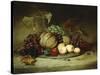 Bountiful Still Life-Hugh Newell-Stretched Canvas