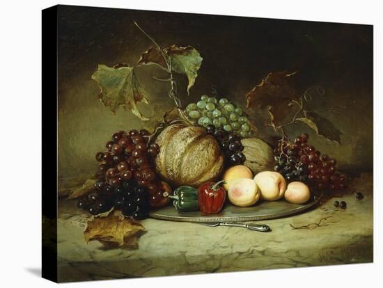 Bountiful Still Life-Hugh Newell-Stretched Canvas